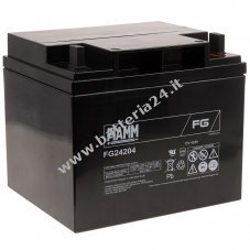 FIAMM Batteria ricaricabile al piombo FG24204 Vds