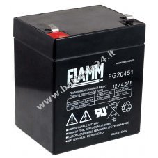 FIAMM Blei Akku, Ersatzakku compatibile con COMPAQ R5500XR HPC R5500XR AGM Notstrom UPS