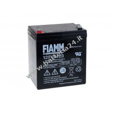 FIAMM Batteria ricaricabile al piombo 12FGH23 (resistente a corrente alta)