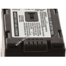 Batteria per Panasonic modello CGA D54SE/1B