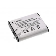 Batteria per Olympus modello LI 90B