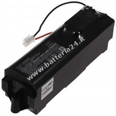 Batteria per hoover Rowenta RH9131WH/2D1 RH9152WOR/2D1 RH9174WO/2D0 Tipo RS 2230001773