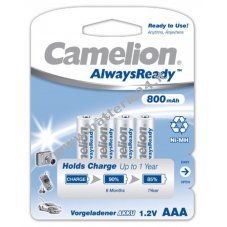 Camelion HR03 Micro AAA AlwaysReady, rechargeable battery, confezione da 4 800mAh
