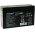 Batteria al piombo per: FIAMM FG11202