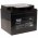 FIAMM Batteria ricaricabile al piombo FG24204 Vds