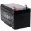 FIAMM Batteria ricaricabile al piombo FG20121