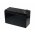 FIAMM Batteria ricaricabile al piombo FGH20902 (resistente a corrente alta)