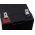FIAMM Batteria ricaricabile al piombo FGH20902 (resistente a corrente alta)